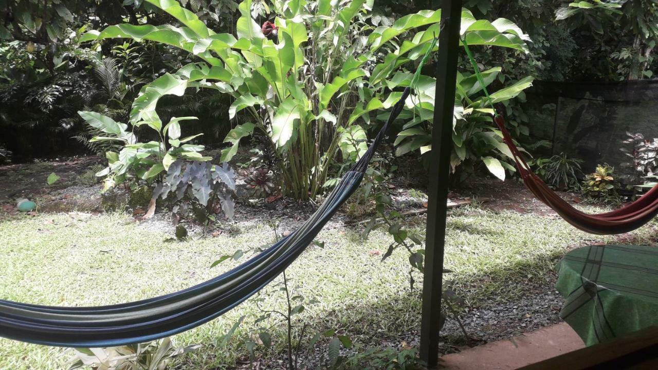 Casa Arlecchino Apartment Puerto Viejo de Talamanca ภายนอก รูปภาพ